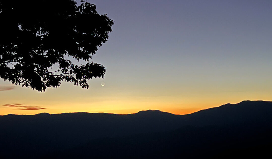 (C)here’s to the unexpected!