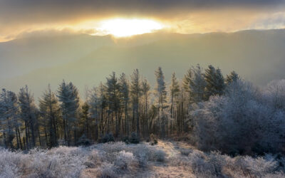 Day 6: Darkness, and Light, and Advent