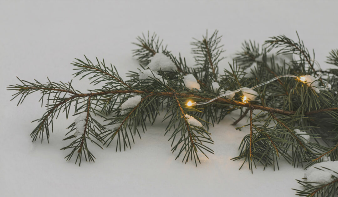 Day 9: Is there something waiting for me here?